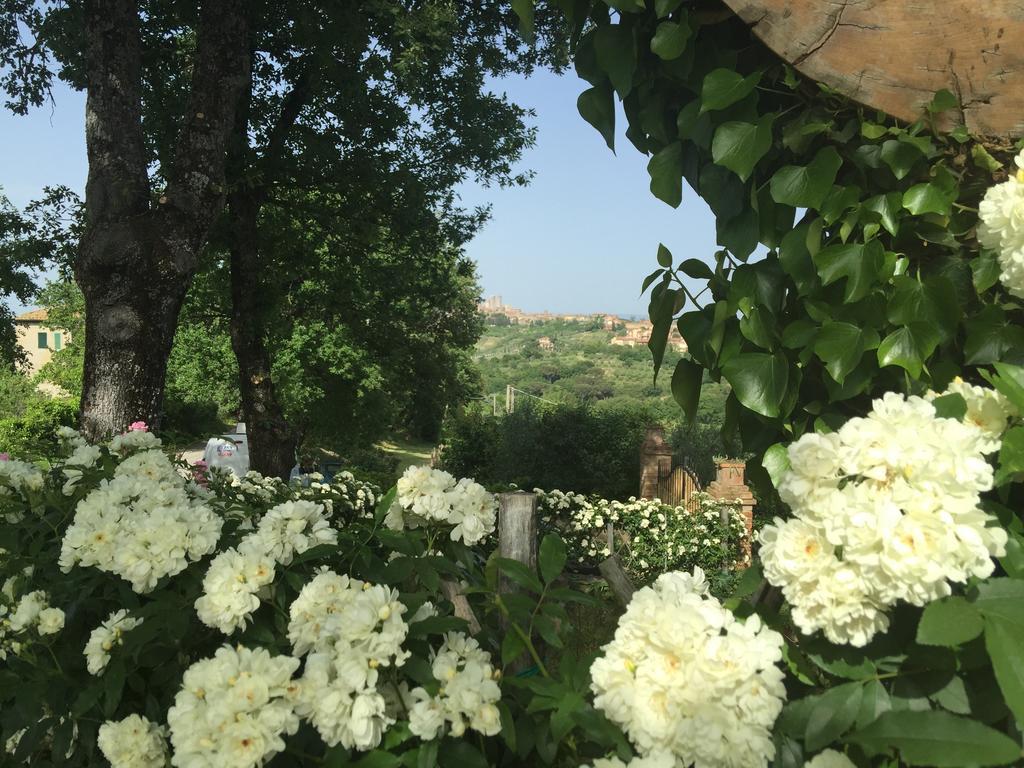 Podere Sant'Elena San Gimignano Luaran gambar
