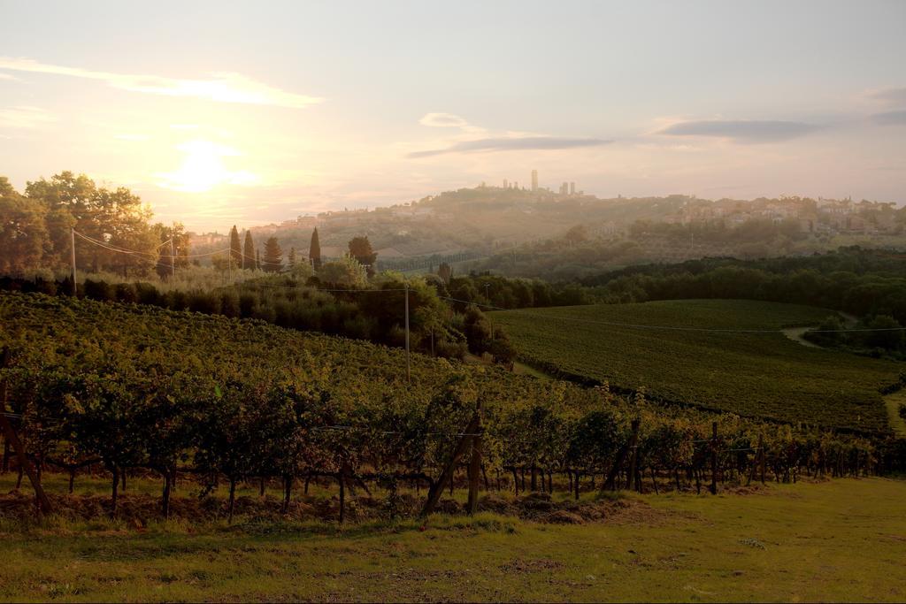Podere Sant'Elena San Gimignano Luaran gambar